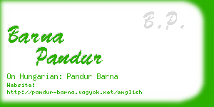 barna pandur business card
